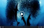 VTEM-Video-min