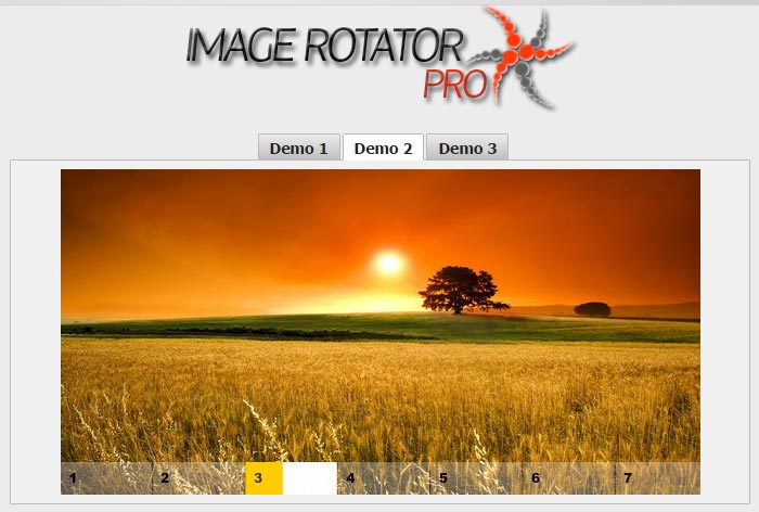 Image-Rotator-Pro1