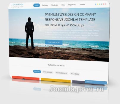 lt-web-design